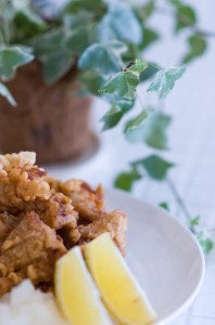 【から揚げ】a0001_015523