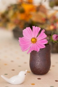 【コスモスと小鳥】ELFA_kosumosutokotori500